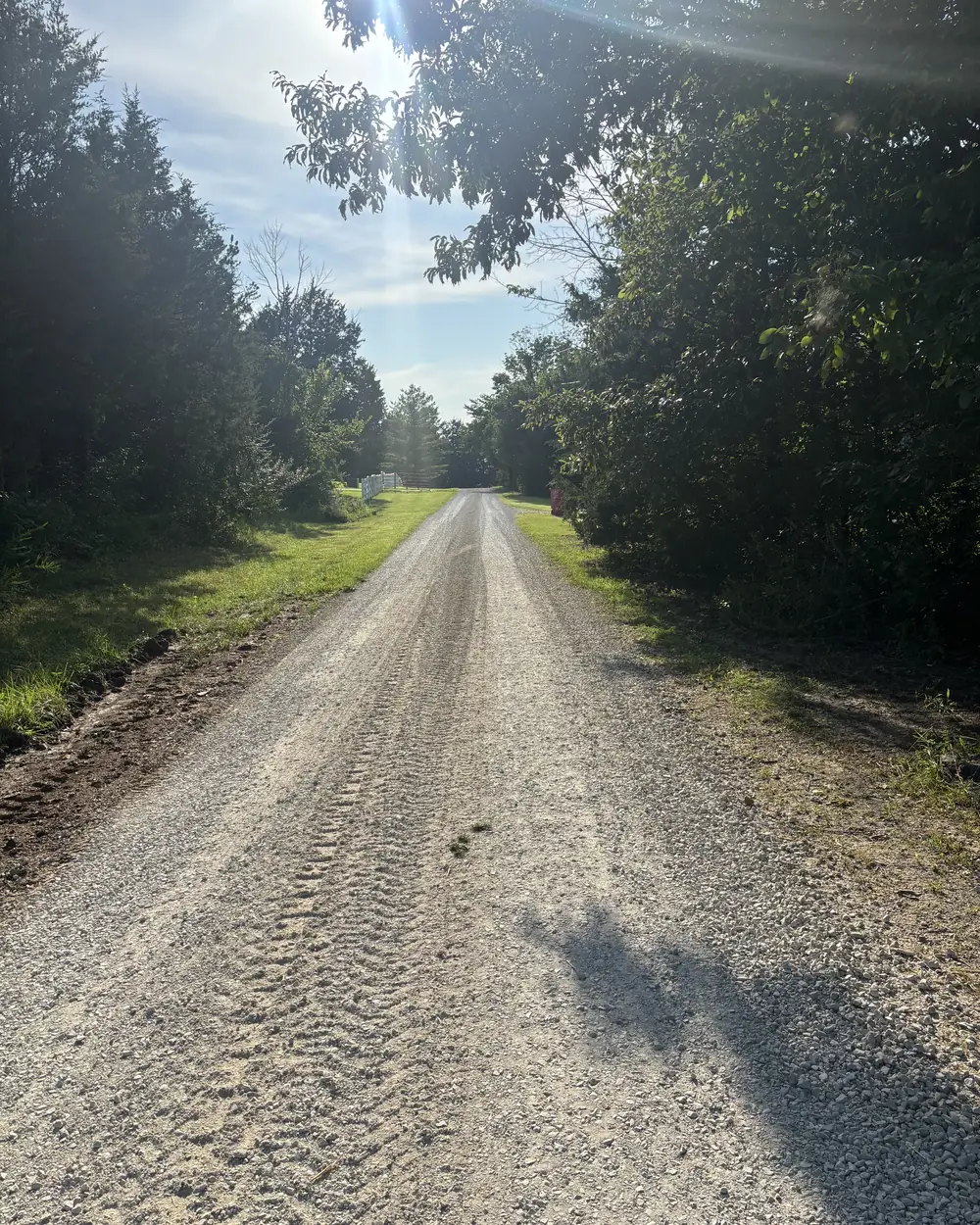 A long gravel driveway running straight away between treelines in low sun, freshly graded and topped with clean stone